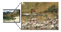 Raster image made up of different coloured squares or pixels
