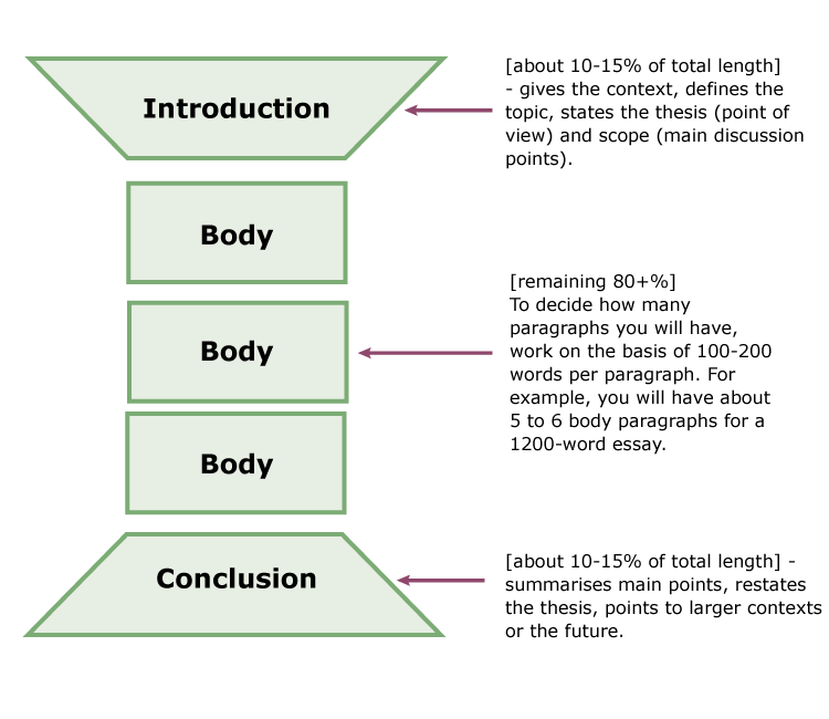 essay structure nz